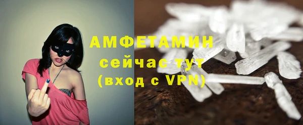 мяу мяу мука Аркадак
