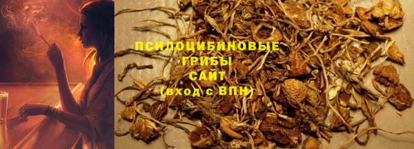 мяу мяу мука Аркадак