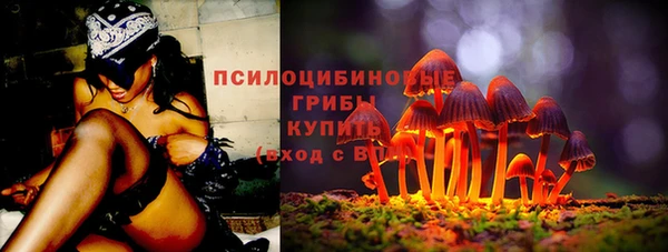 амф Арсеньев